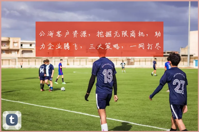 公海客户资源，挖掘无限商机，助力企业腾飞，三大策略，一网打尽