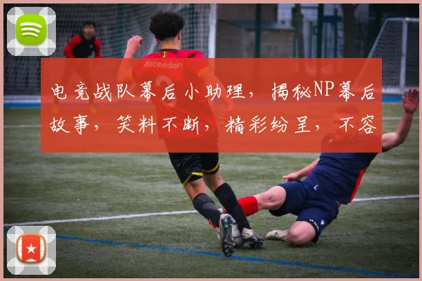 电竞战队幕后小助理，揭秘NP幕后故事，笑料不断，精彩纷呈，不容错过