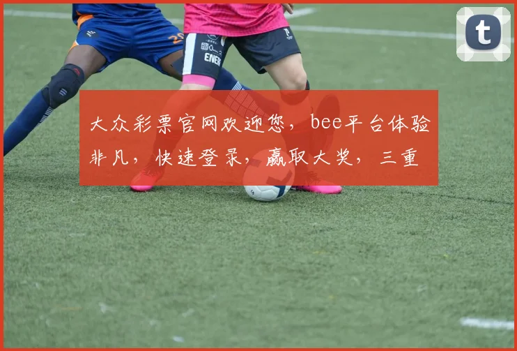 大众彩票官网欢迎您，bee平台体验非凡，快速登录，赢取大奖，三重惊喜等你来