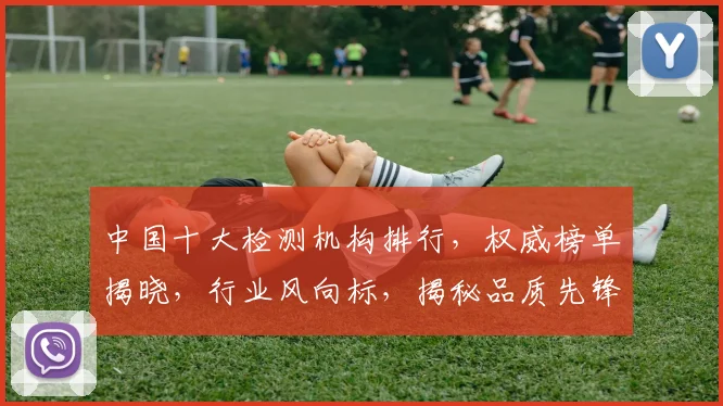 中国十大检测机构排行，权威榜单揭晓，行业风向标，揭秘品质先锋