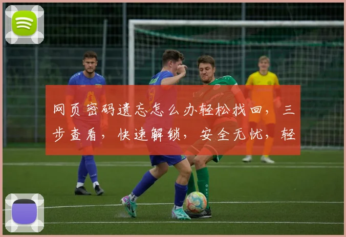网页密码遗忘怎么办轻松找回，三步查看，快速解锁，安全无忧，轻松解决